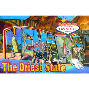 NEVADA: The Driest State, 26x40 inches, © Denise Weaver Ross